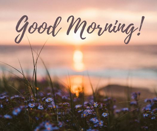 vartotojo įkelta nuotrauka