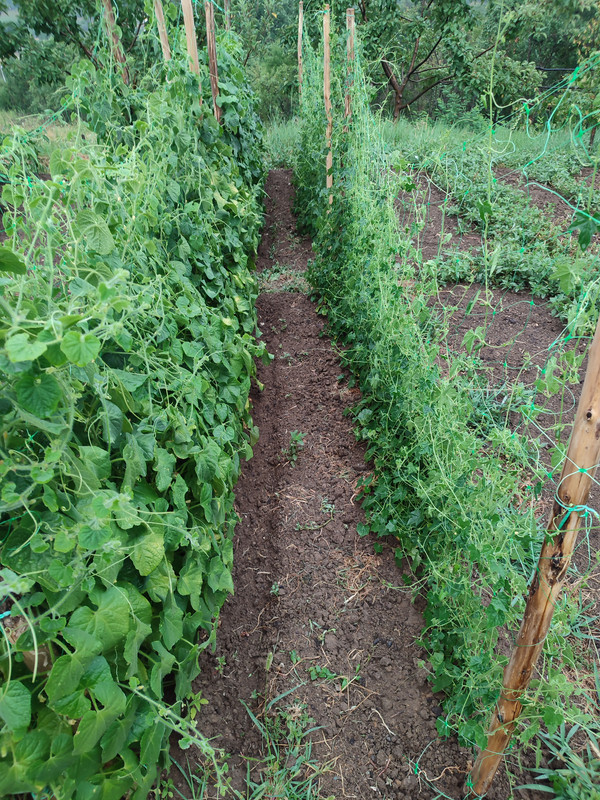 [Слика: IMG-20220730-190929.jpg]