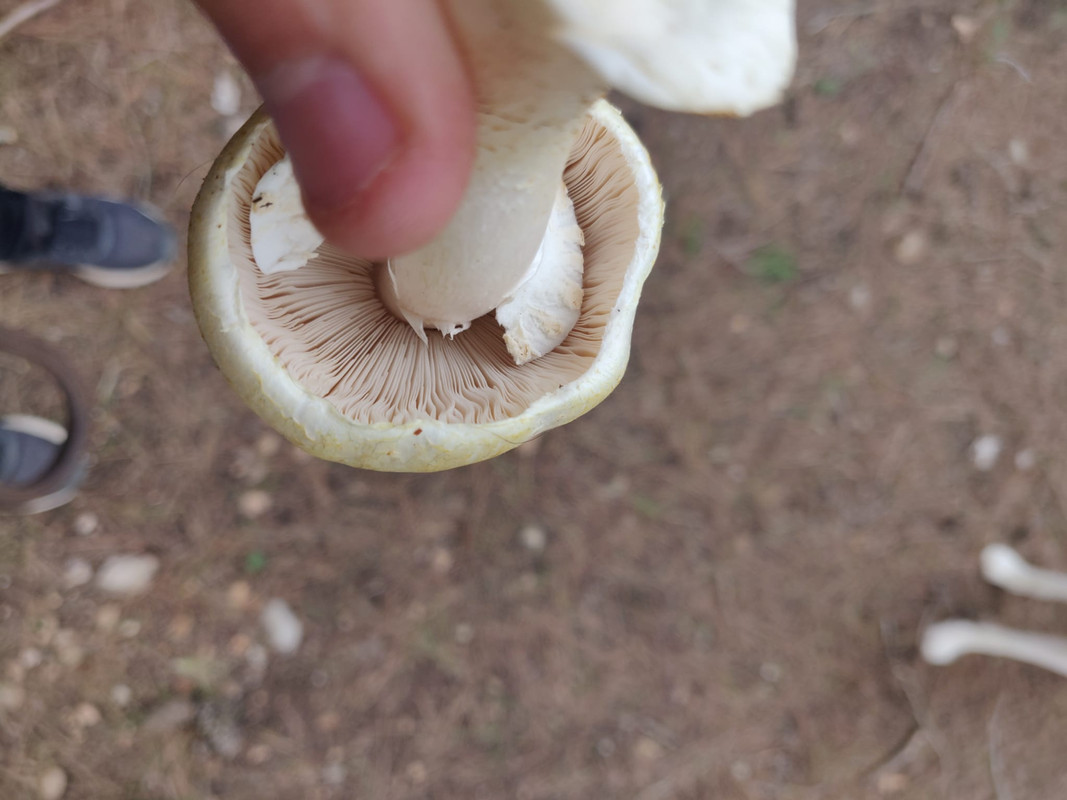 WhatsApp Image 2022-12-15 at 13.50.52 (3)