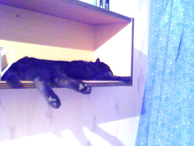 Изображение 001