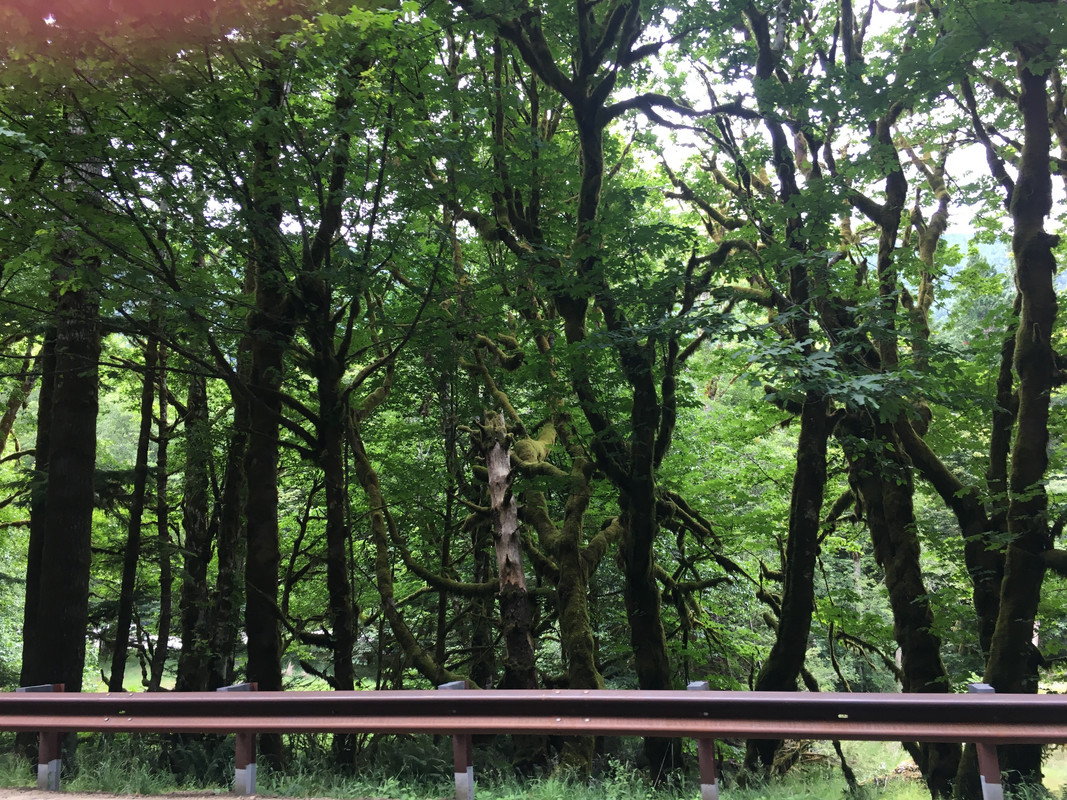 6A7CFC19-5E6E-47FD-A441-2FEF6C259449