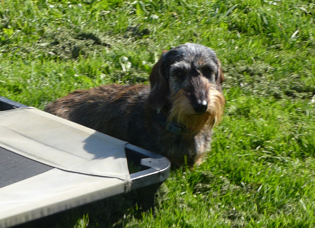 [Image: P1020845.jpg]