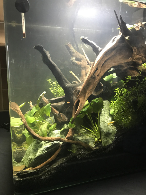 53823200-34D1-4F0E-8604-9B6B6CF17340