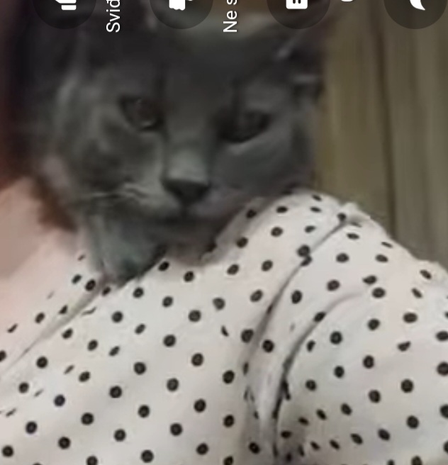 Screenshot 20250902 165322 Samsung Internet