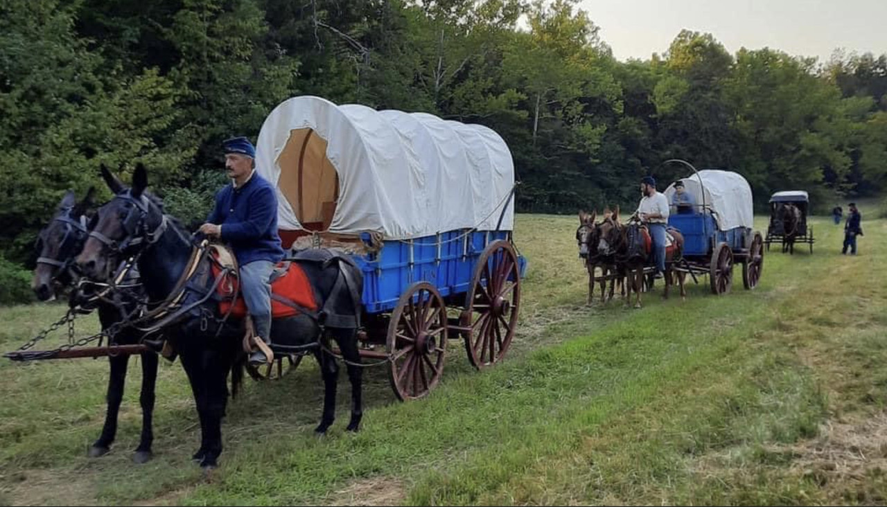 C4ED7D4F-7537-40C7-8C19-64CBD2D2ABB7