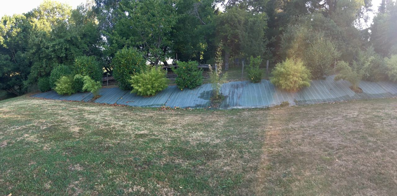 E93BD126-396B-4DE6-8C2D-C7E65724C329