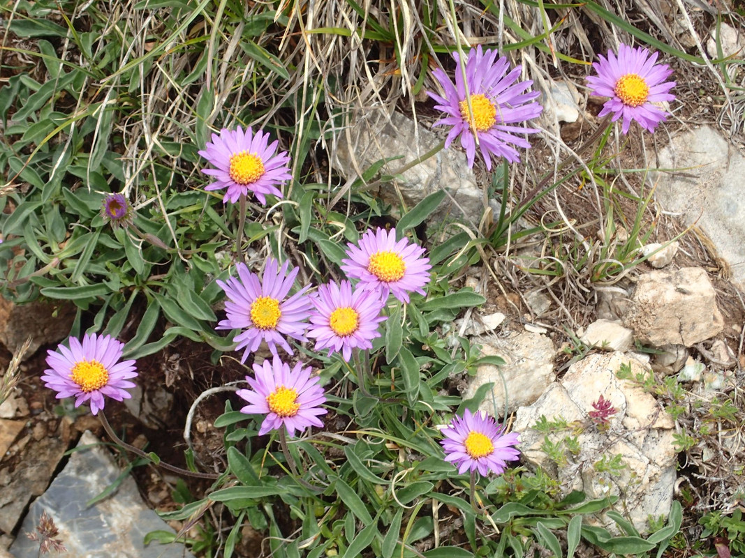 2019_0804BAŁKANY0759