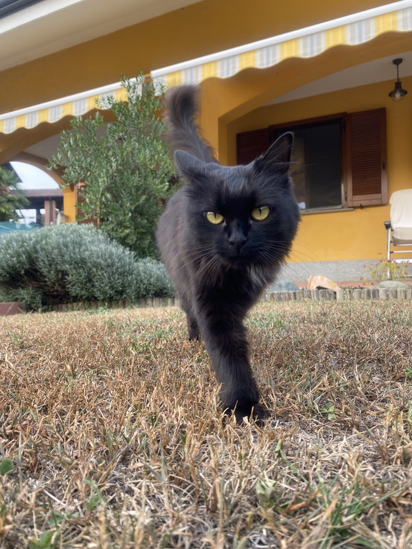 55B72144-D89A-4239-B4B3-702369600AA2