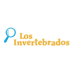 Logo 4
