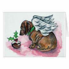 [Image: 19424457-10213462689629905-599199884179871546-n.jpg]