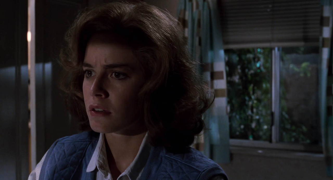 Back to the Future Part II 1989 BluRay [Hindi + Tamil + Telugu + English] 480p, 720p, 1080p ESub Screenshot