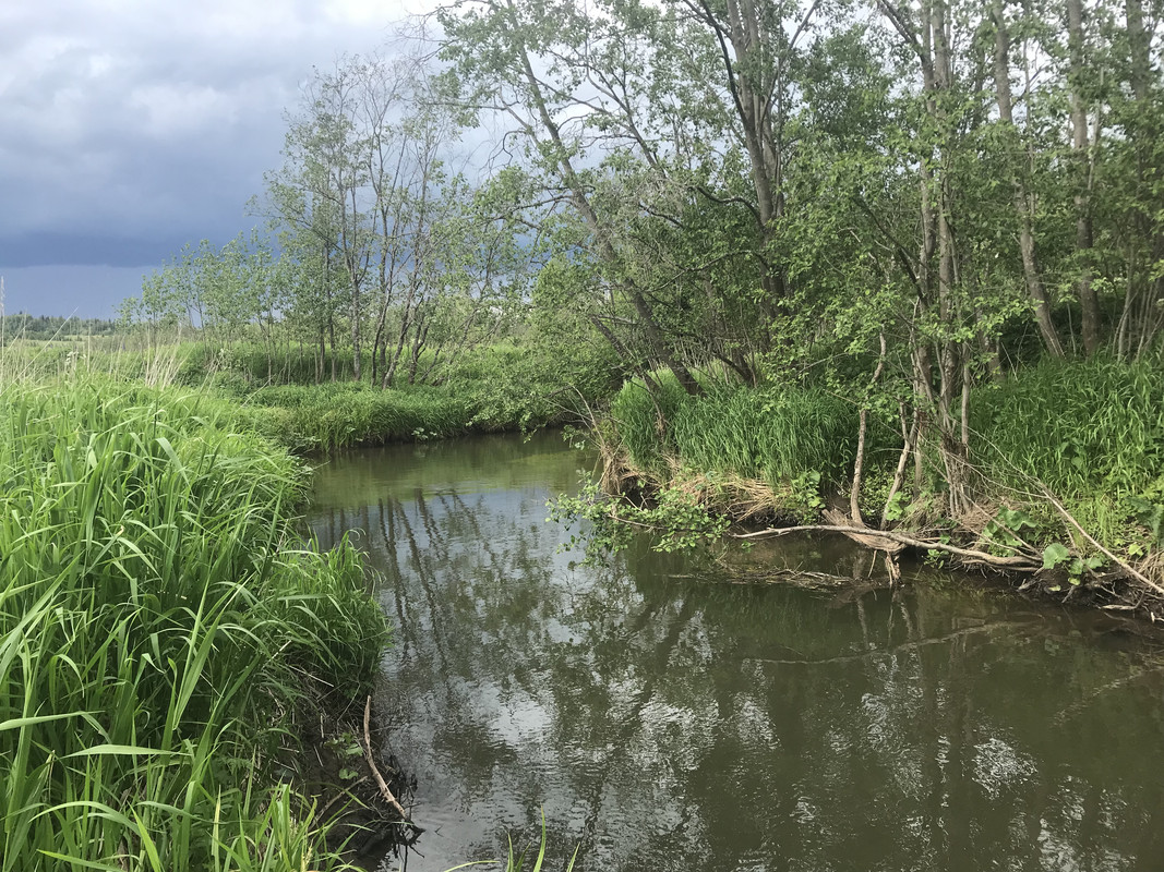 B585DF5A-EA51-4E1A-9BE4-0C9C12B315BB