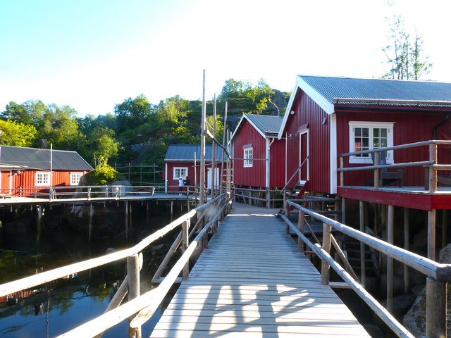 DÍA 7 – LOFOTEN: HAUKLAND-UTTAKLEIV-NUSFJORD-FLAKSTAD - 12 días por Noruega: Bergen - Tromsø - Islas Lofoten - Oslo (16)