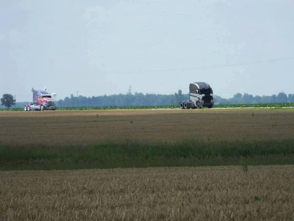 267319_477214255698322_345209562_n