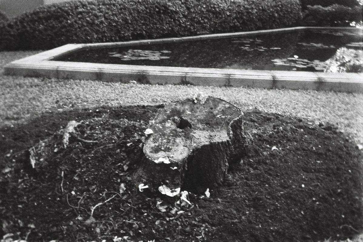 Retro400SHF_167_resize