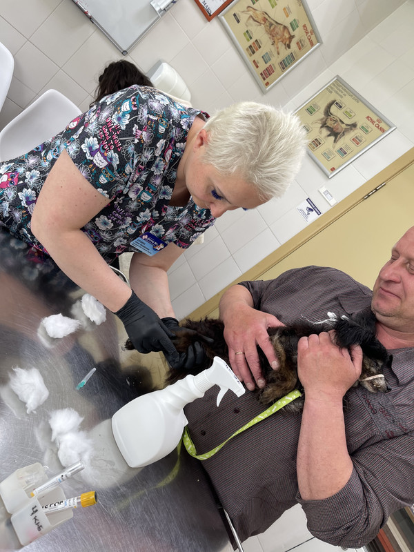 B98298C4-E19D-4CB8-BF10-7FE054A6C7E8