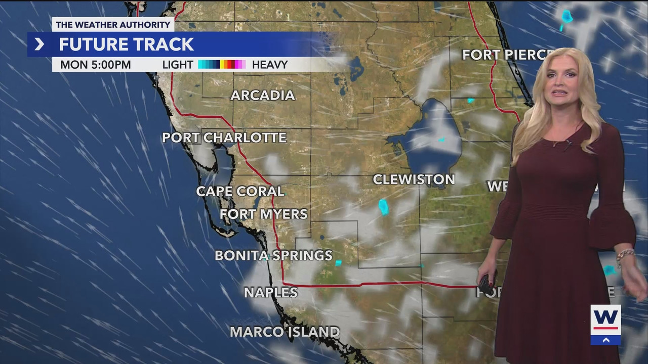 WINK Weekend News at 11PM Sunday_20241118_04000500.ts_snapshot_00.50.31.612