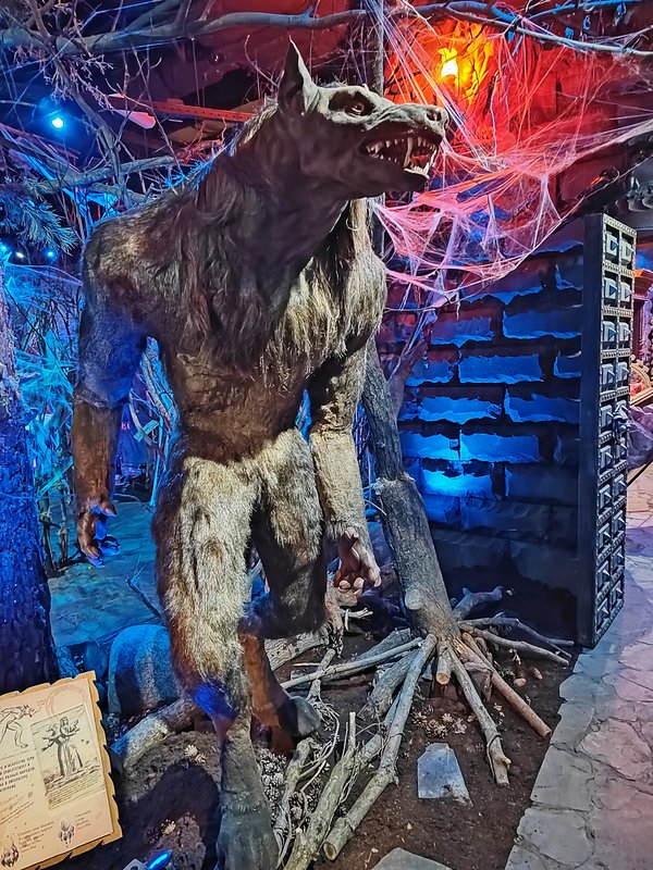 https://i.postimg.cc/Dz0CzJxz/153-IMG-20250128-151252.jpg
