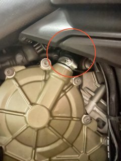 FC55D46B-77F4-4C7D-8FF5-13647E8A9F3A_1_201_a