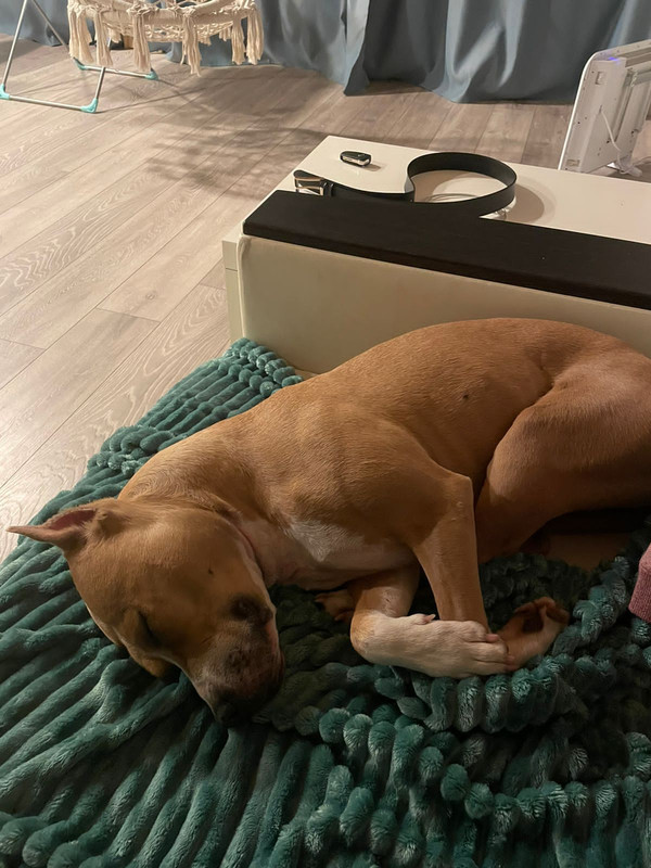 F68BE60E-E334-4296-941A-E54F63C13E67