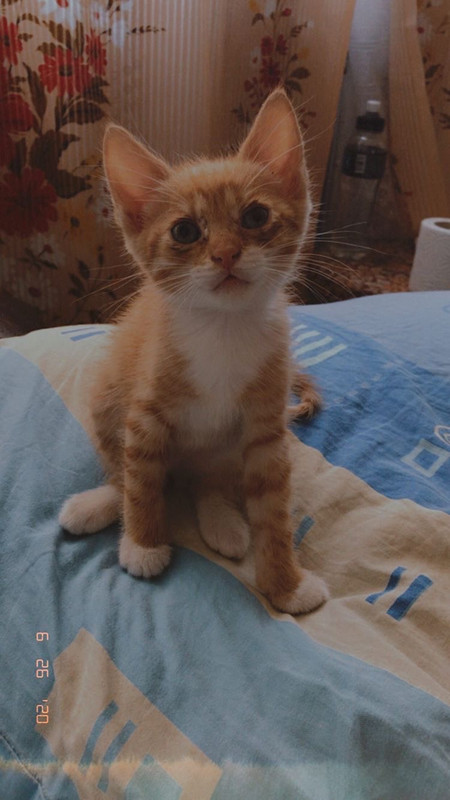 974D8F5B-1C37-4A31-B736-2DB0365EA634