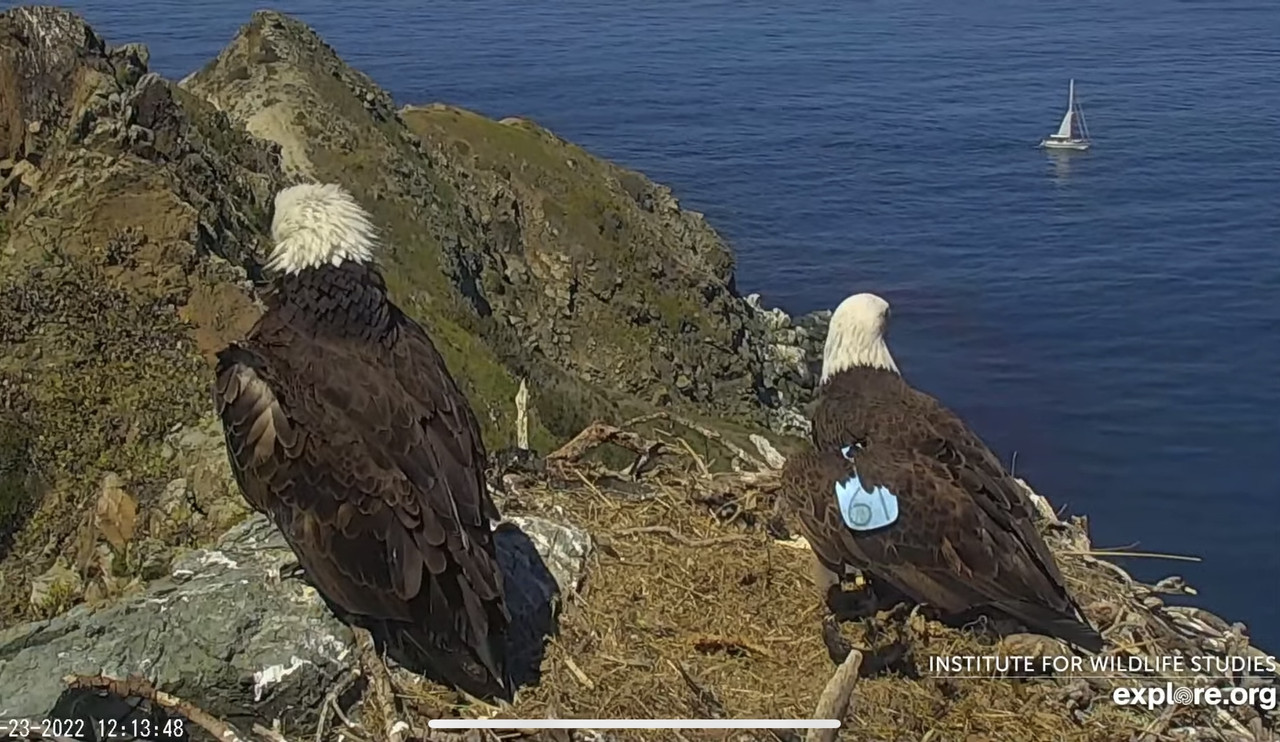 039876DE-7DB8-4213-BCBF-BBAE76384F21