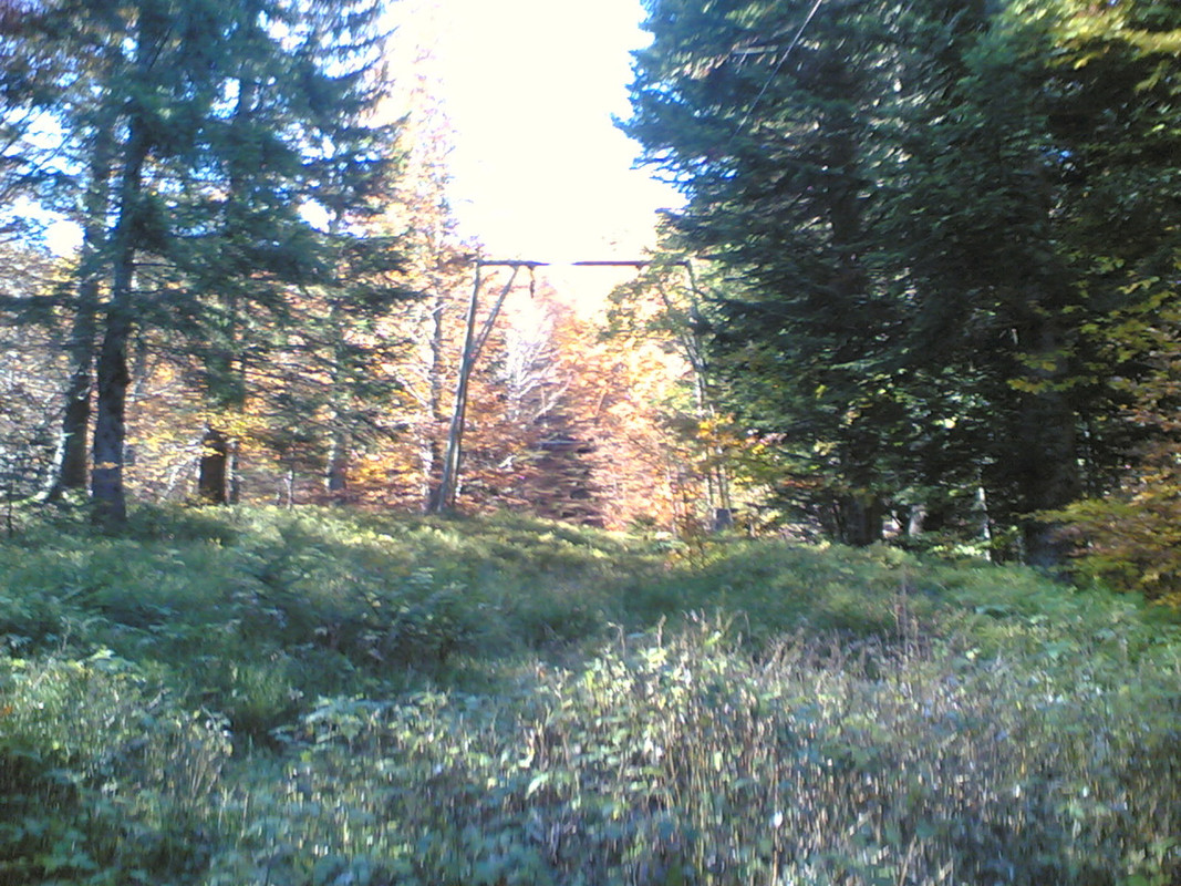 Sciovia Pizzo Alpestre 3 (linea)