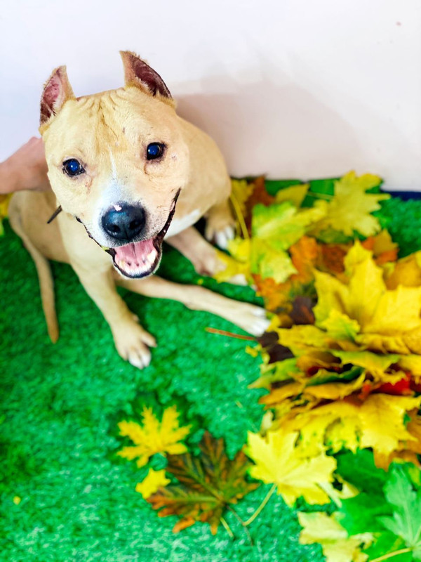 5C53F011-2DAB-4D10-9DB4-2858E85BFE72