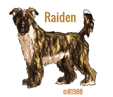 00EF9B2B-FE5A-47E2-AFDC-0FB1D2E9CC9D