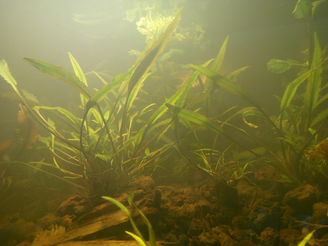 изображение_viber_2022-01-27_10-46-01-703