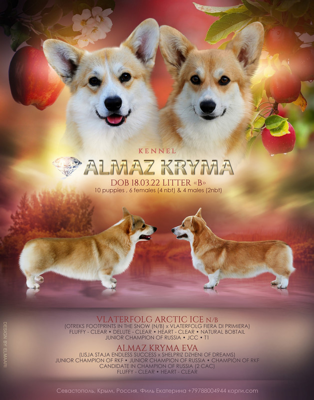 с кол-ом щенков