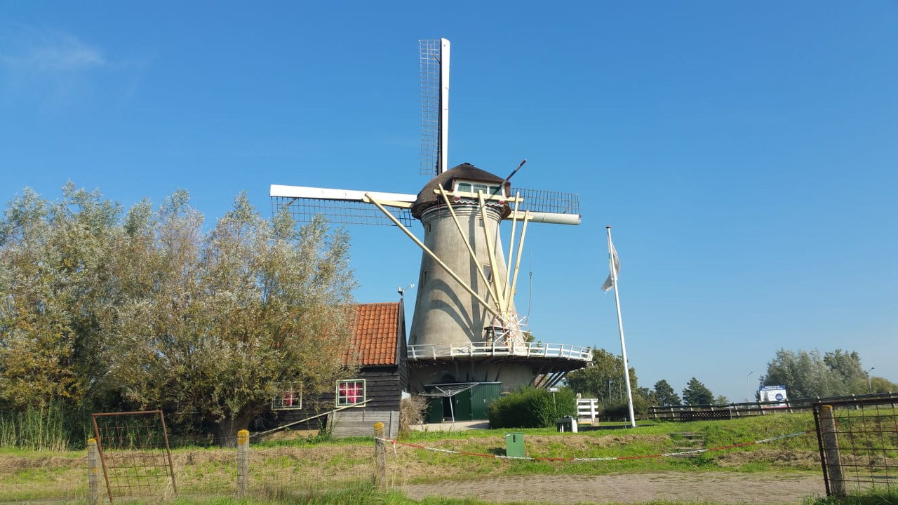 Pieter, Haastrechtse Molen 01 Gouda 06-10-2018