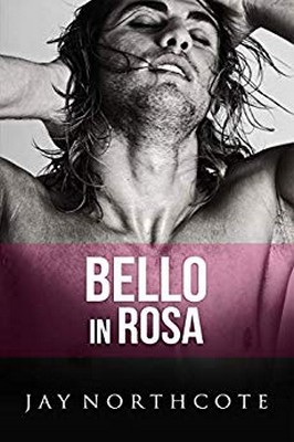 Jay Northcote - Housemates Vol. 6. Bello in rosa (2019)