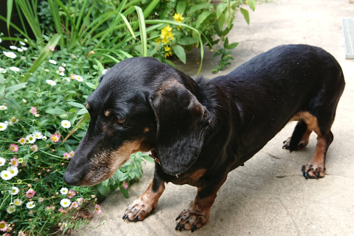 [Image: DSC-2908.jpg]