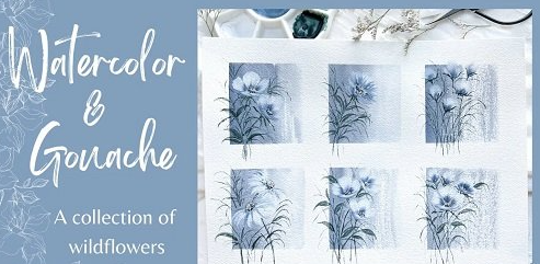 Watercolor & Gouache: A collection of wildflowers