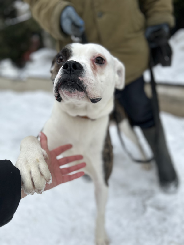 F5489460-713C-4062-B210-C9692EF6E968