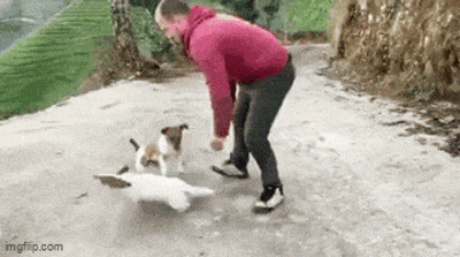 449.gif