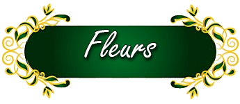 26 05 Fleurs