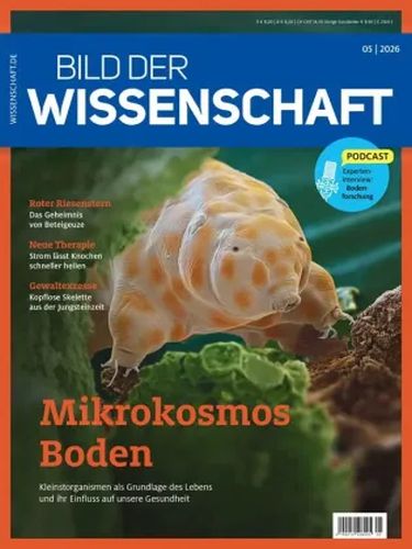 Bild-der-Wissenschaft-Mai-2026.jpg
