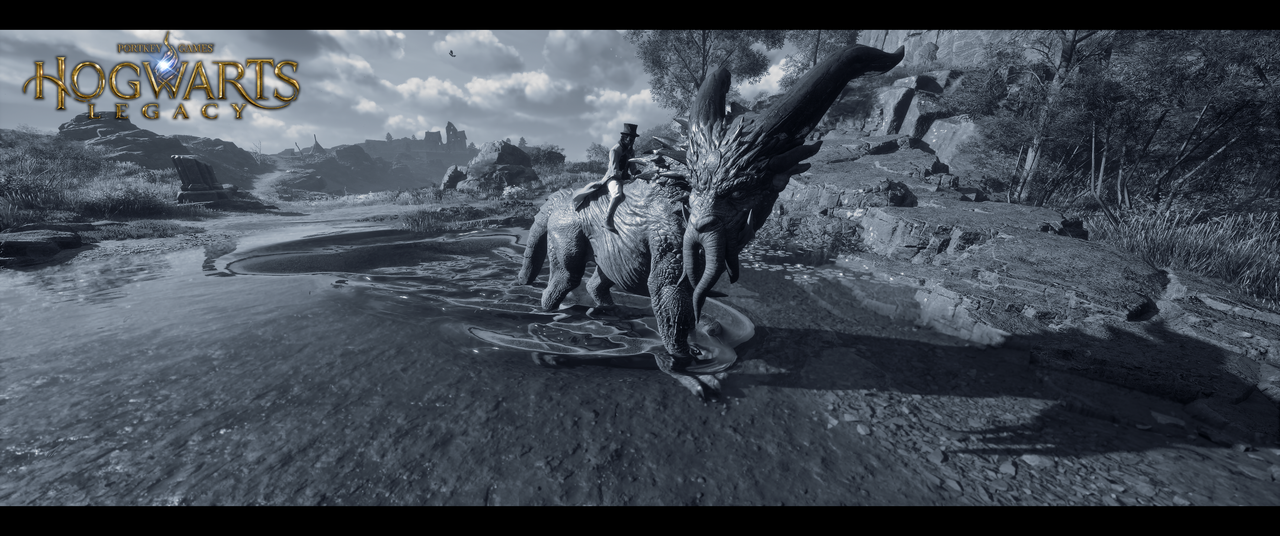 Hogwarts-Legacy-Screenshot-2025-07-28-17