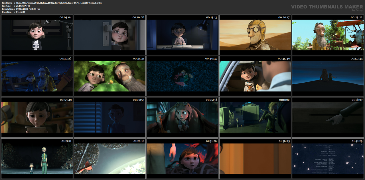 The.Little.Prince.2015.BluRay.1080p.REMUX.AVC.TrueHD.7.1-LEGi0N-Vietsub.mkv
