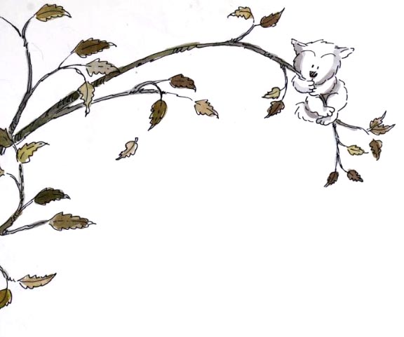 11-2
