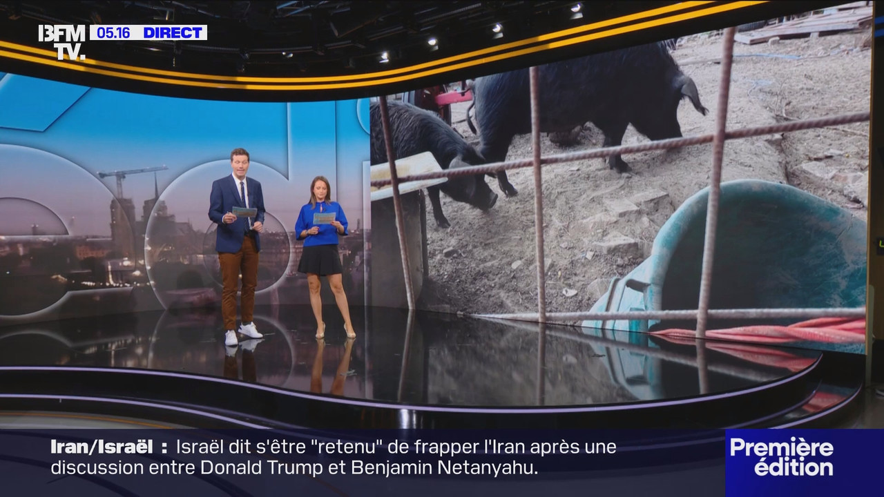 Première édition (BFMTV)_2025_06_25_03_25_88.ts_snapshot_00.52.01.541