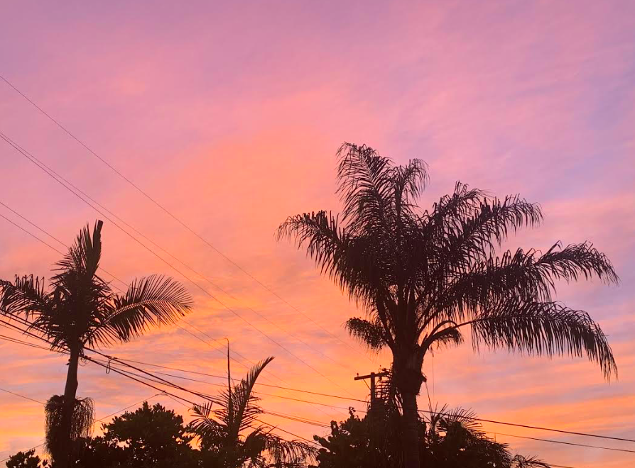 Screen Shot 2021-03-09 at 15.56.46