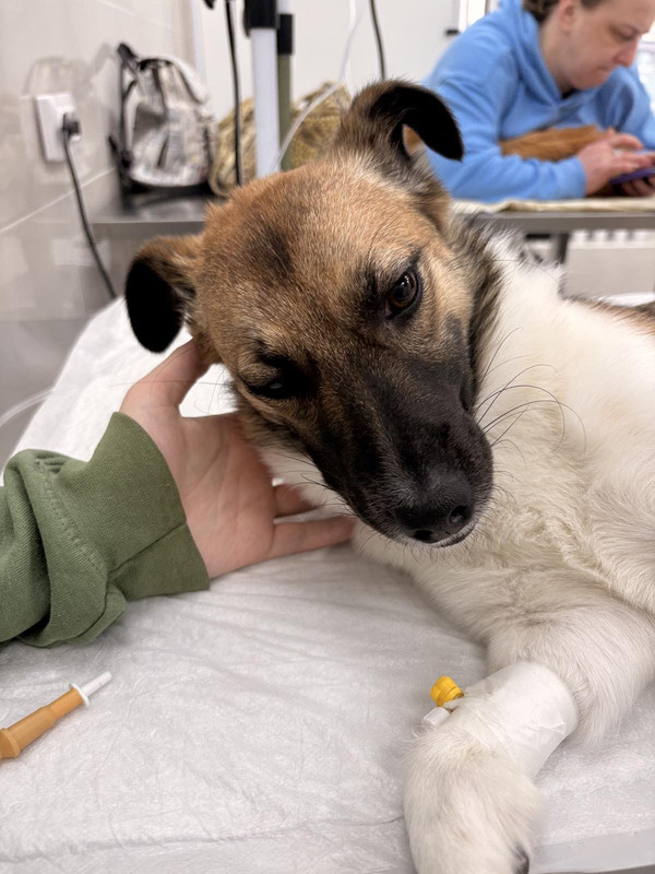 IMG 3338d6976b5169c3d86a8dce7705cad7 V