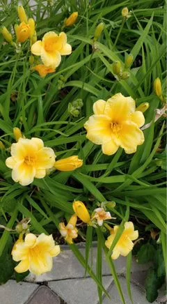 изображение_viber_2023-10-30_11-13-32-067