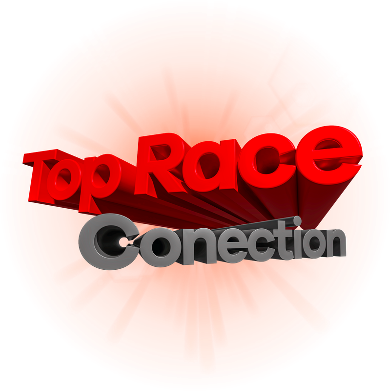 Logo Top Premium Conection