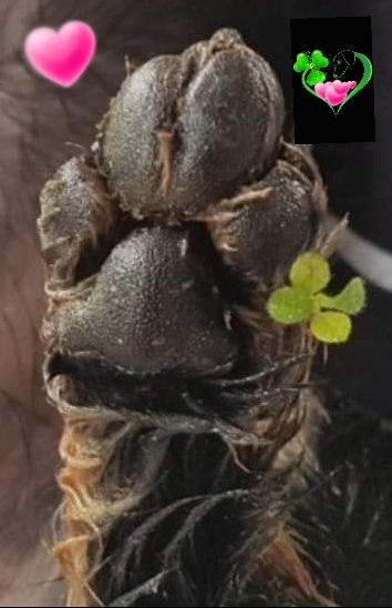 [Image: 20230922-133937.jpg]