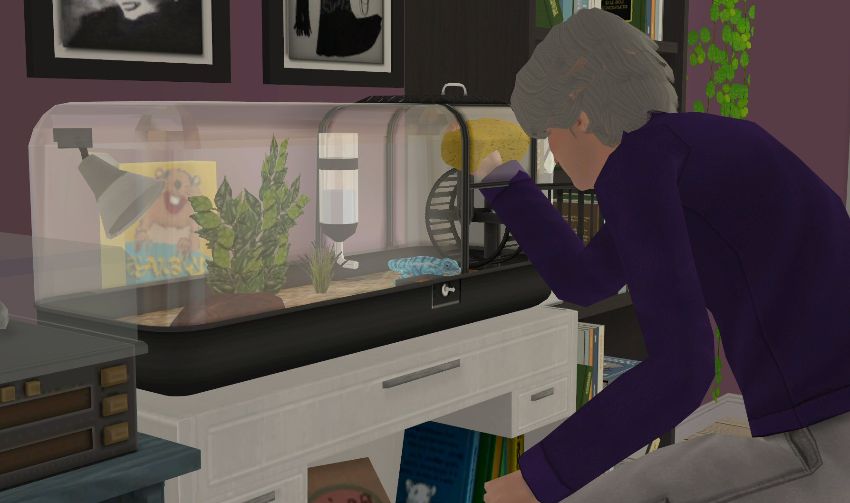 Sims2-EP9-2020-11-15-16-37-32-83