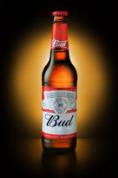 Bud 33 cl